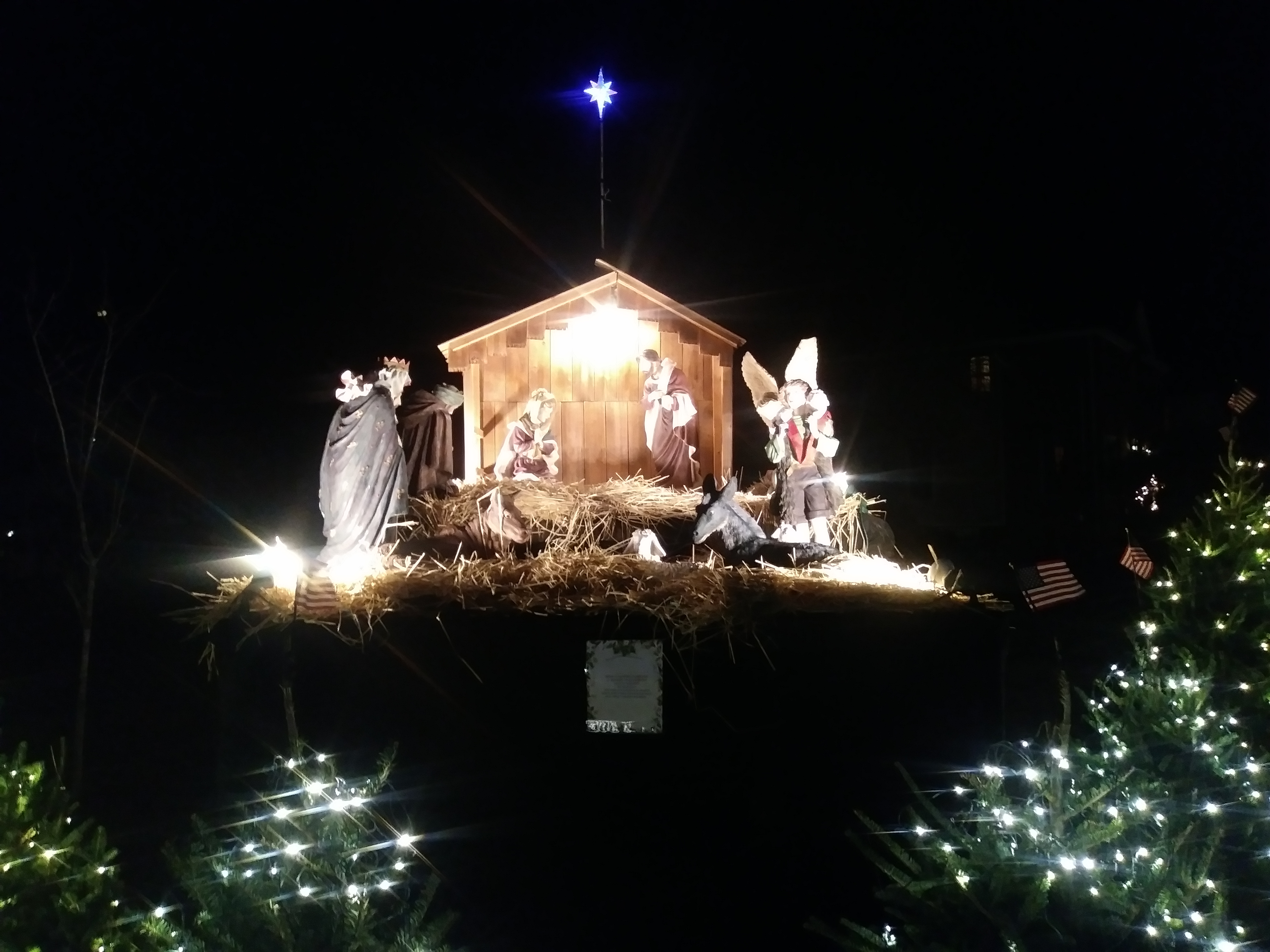 SFDS Nativity