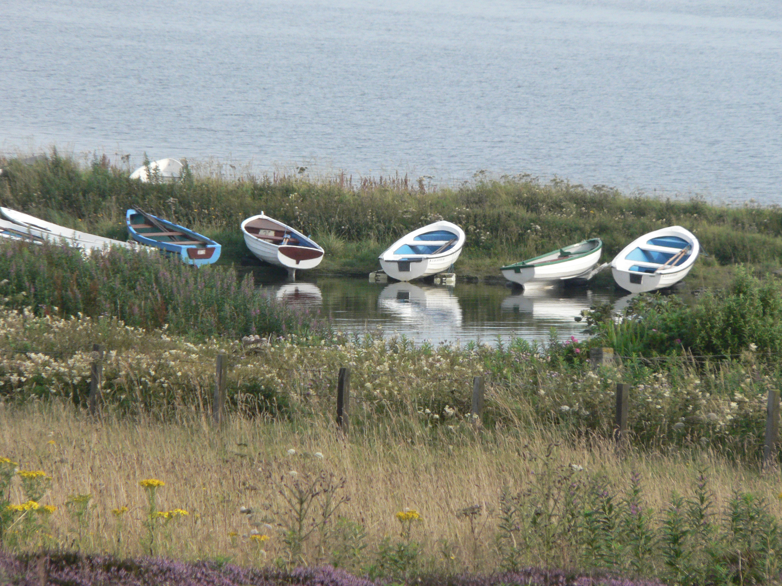 Scotland – Row Boats